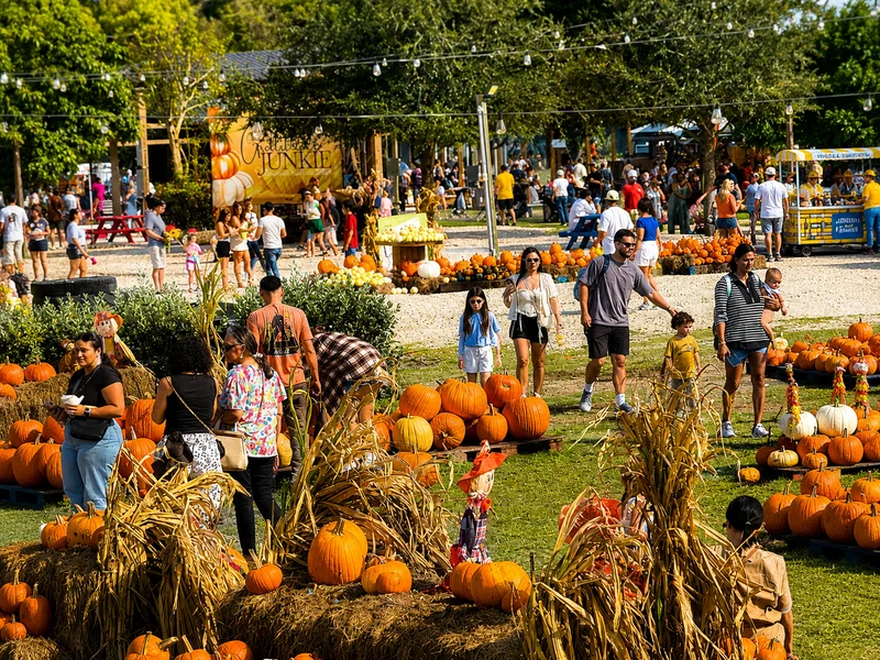 The Berry Farm — Festival de Cosecha y Huerto de Calabazas