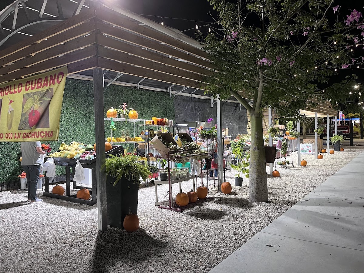 Redland Market Village Family Fun