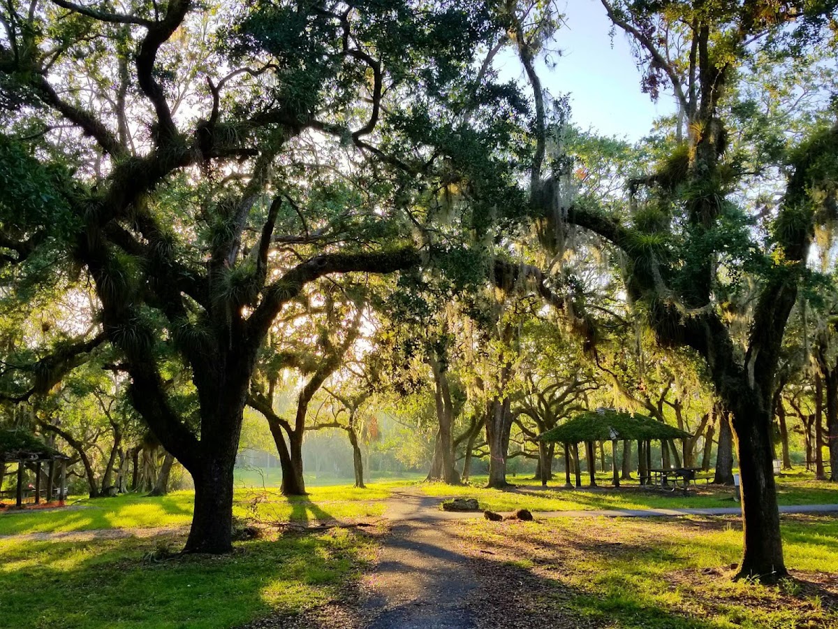 Matheson Hammock Park Beach & Activities