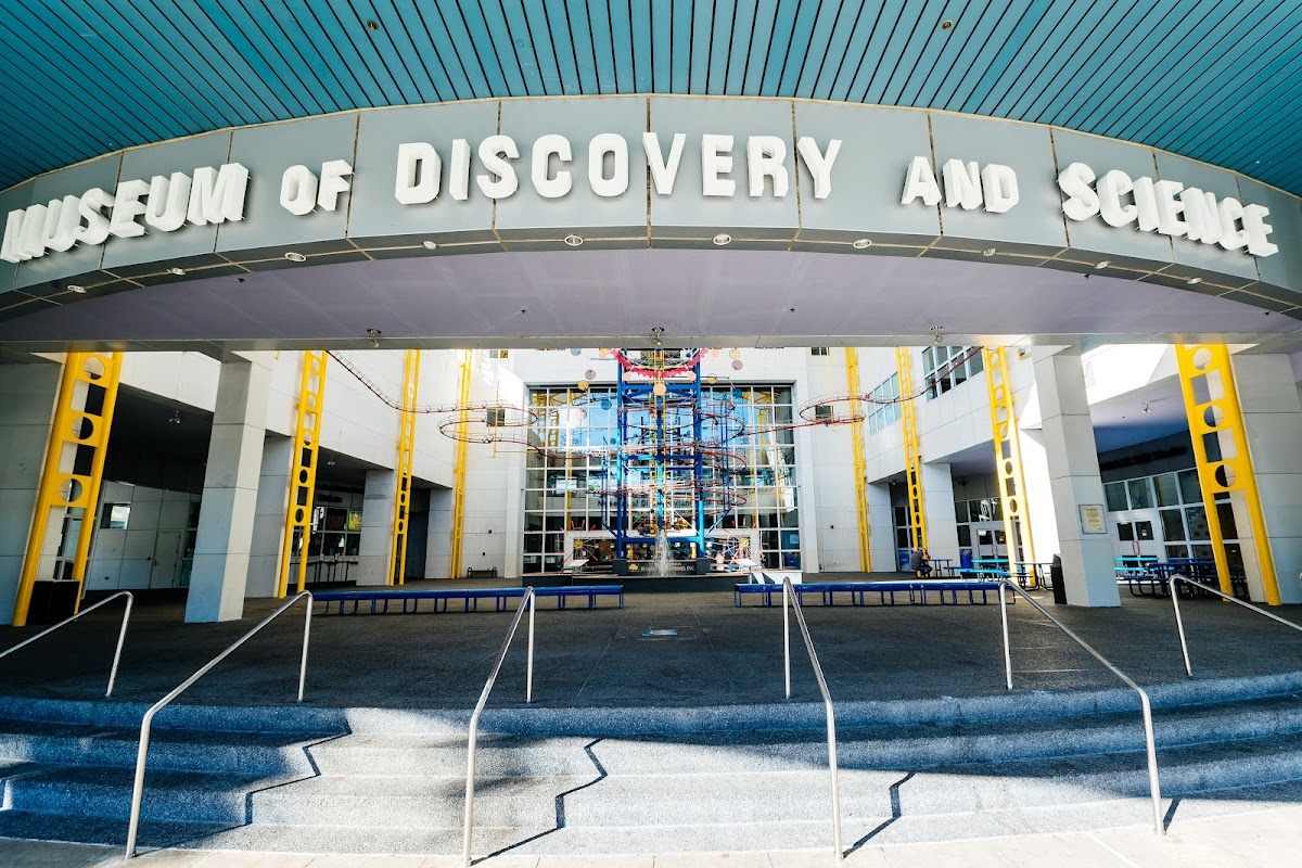 Museum of Discovery & Science Camp