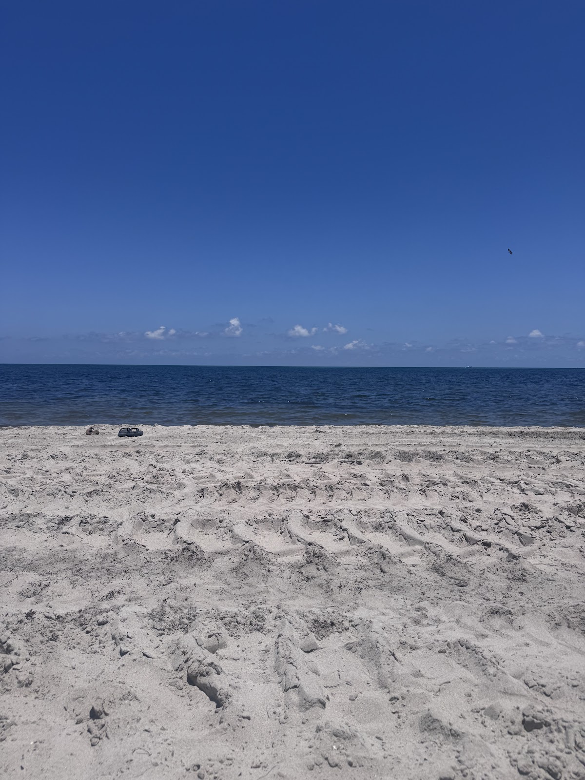 Miami-Dade Parks Spring Break Camps