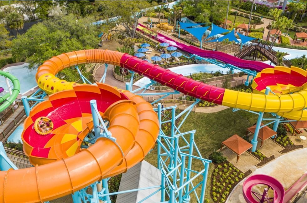 Busch Gardens & Adventure Island — Free Preschool Card