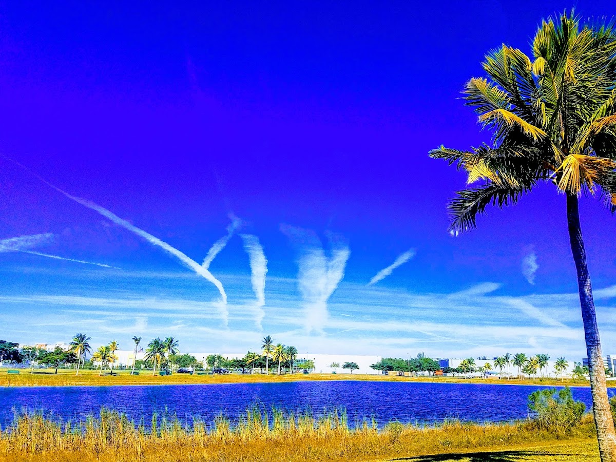 Doral Winter Festival