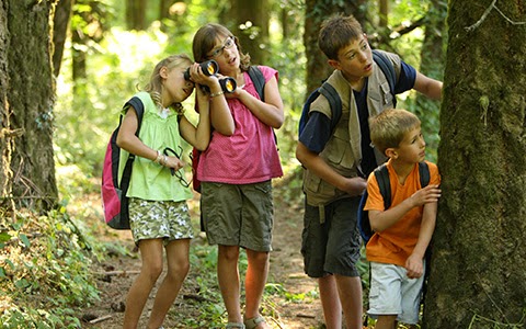 Camp Live Oak