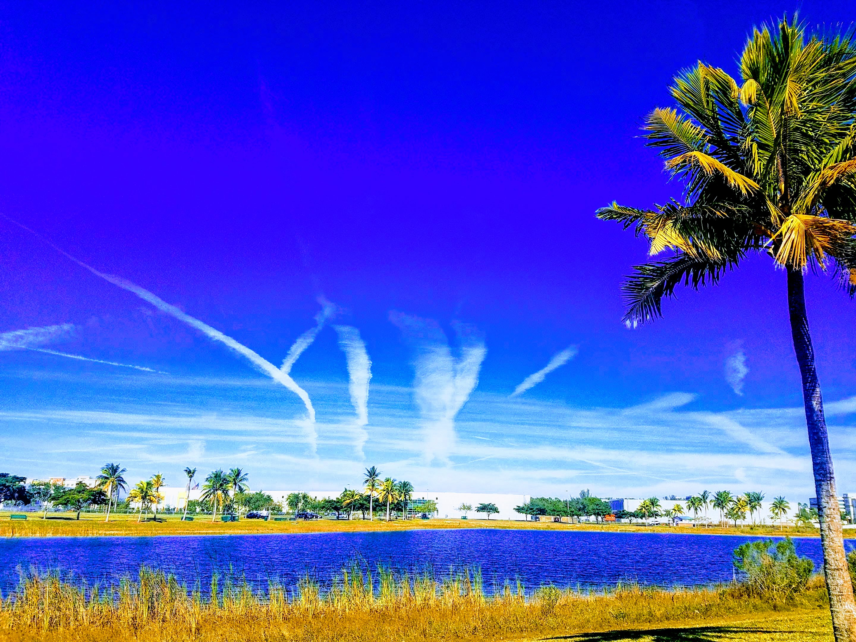 Doral Central Park