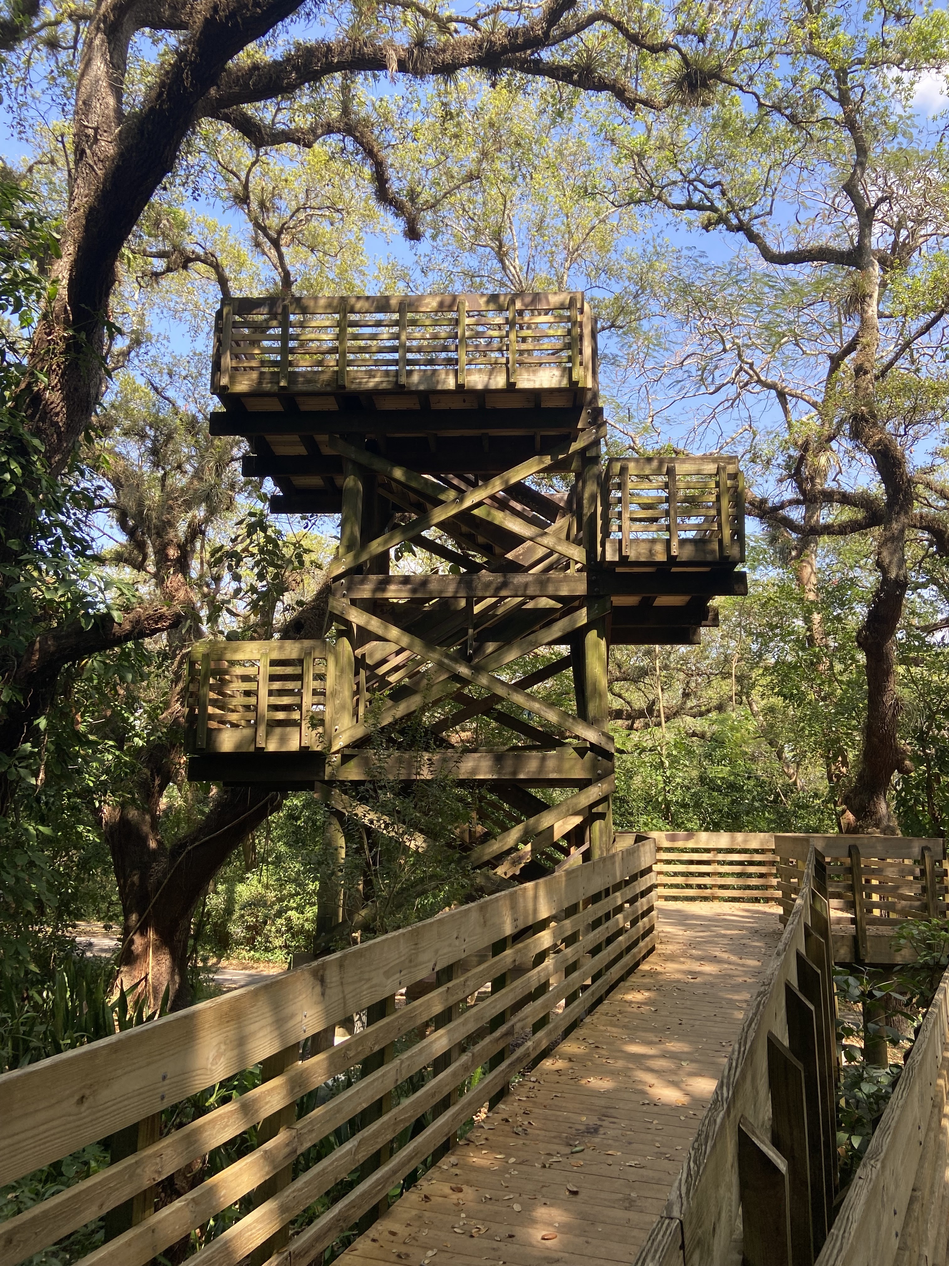 Tree Tops Park