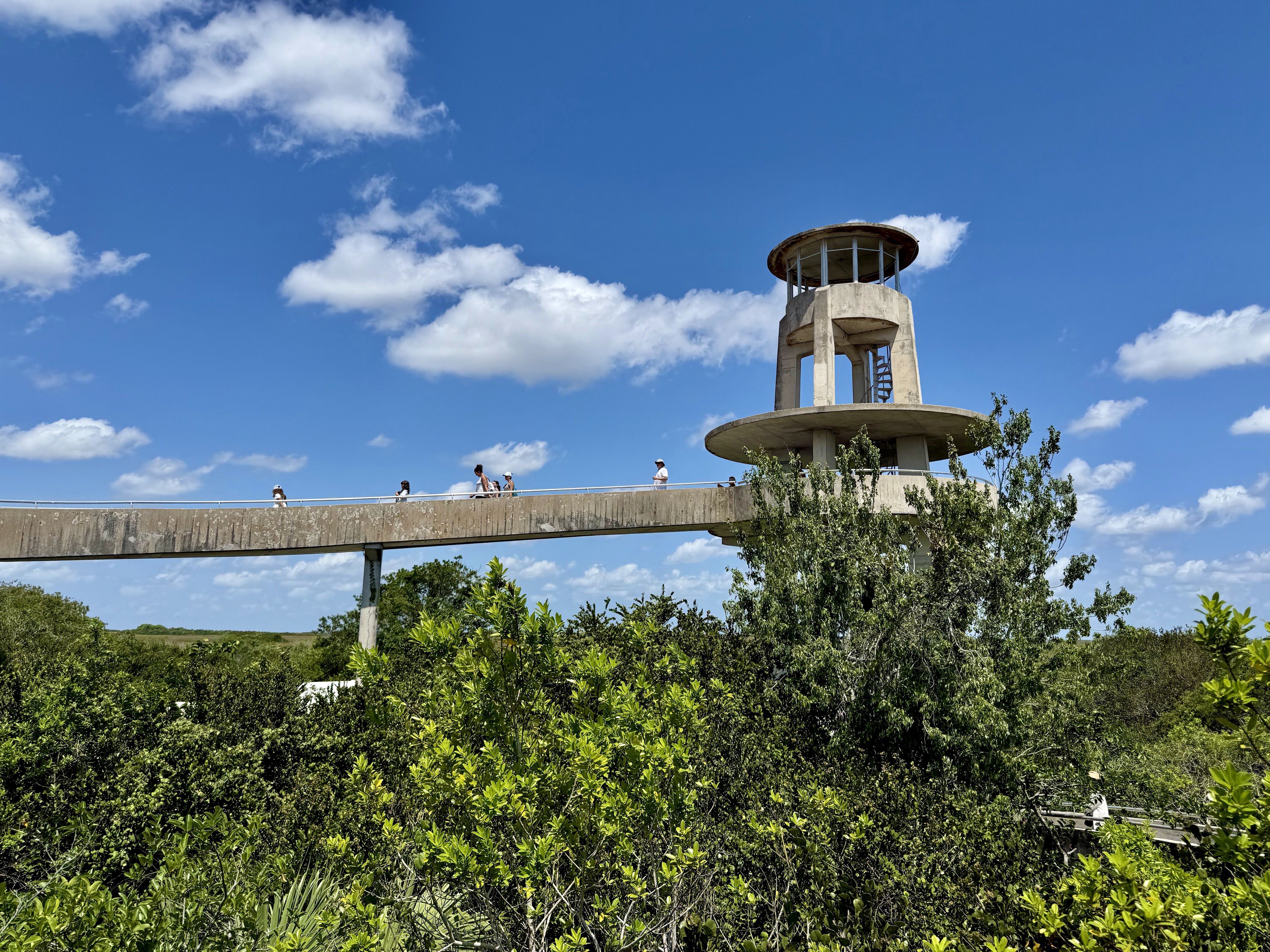 Everglades National Park — Shark Valley