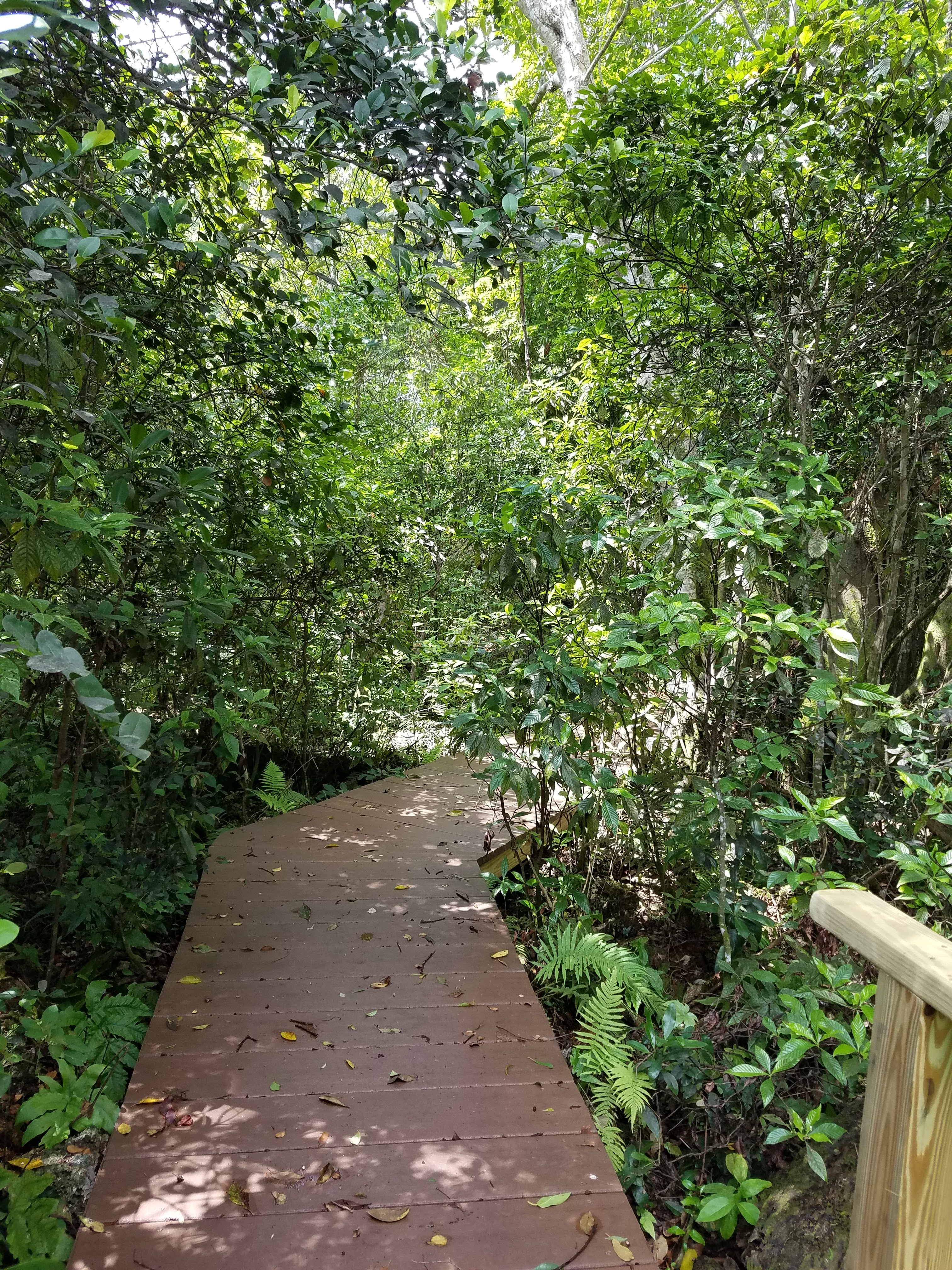 Bill Sadowski Park & Nature Center