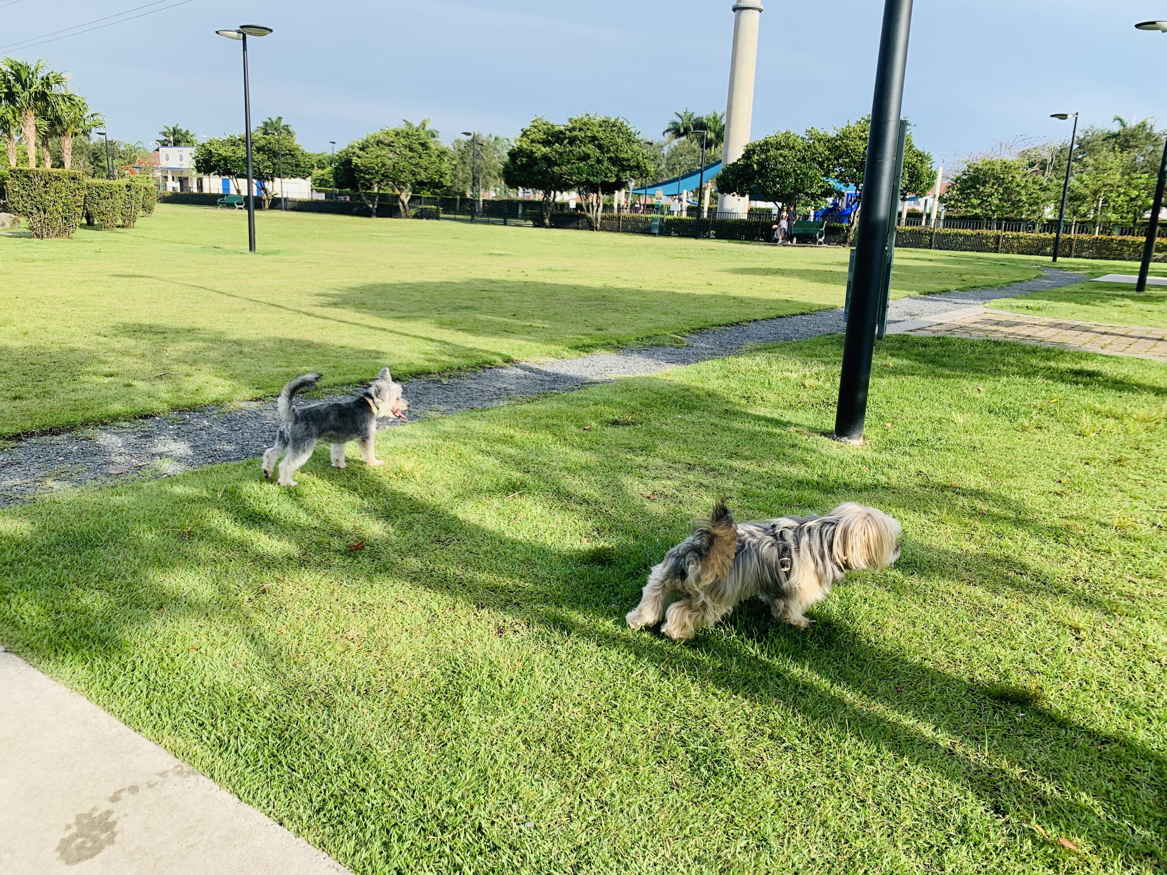 Trails and Tails Park