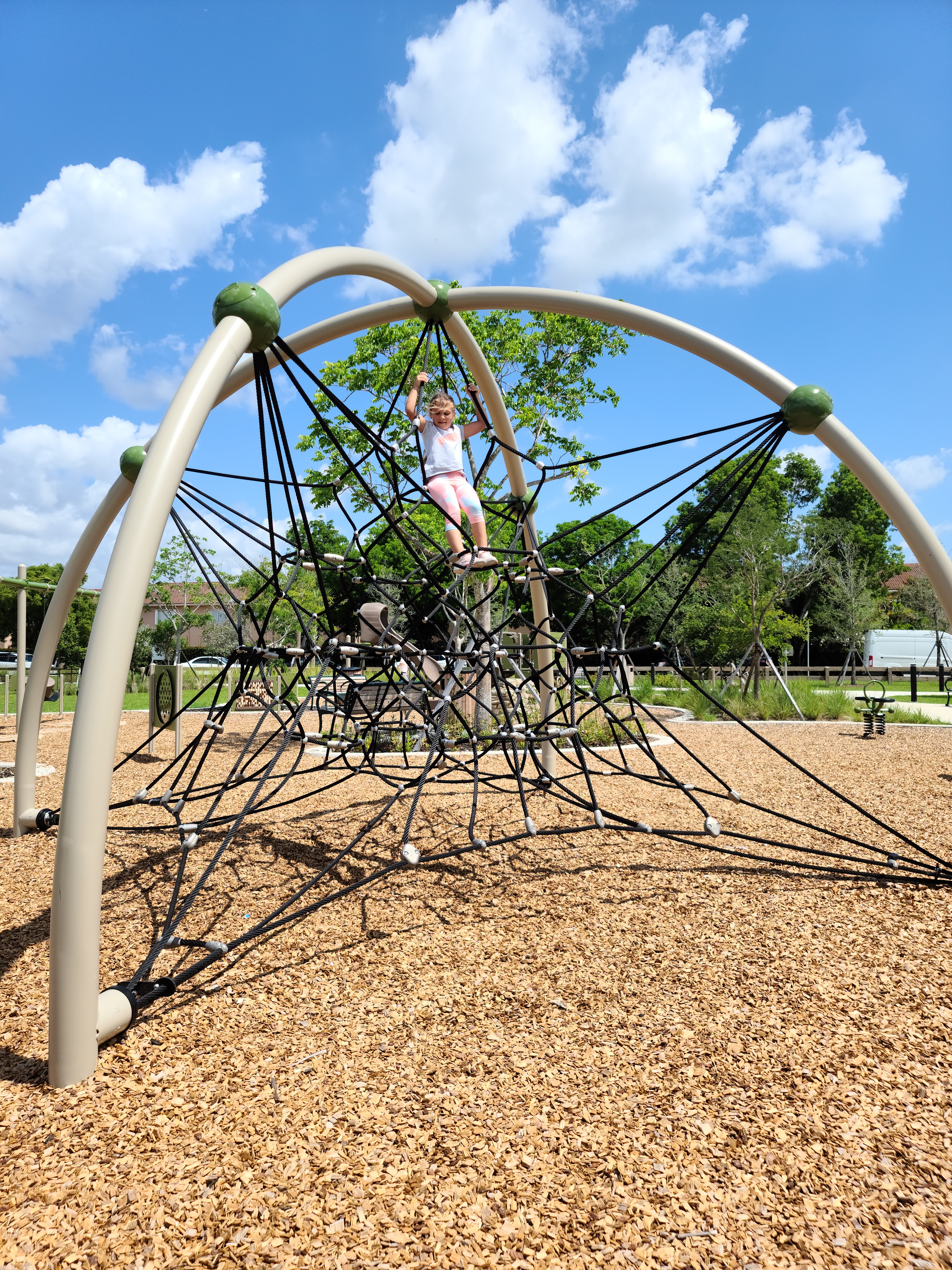 Tree Island Park