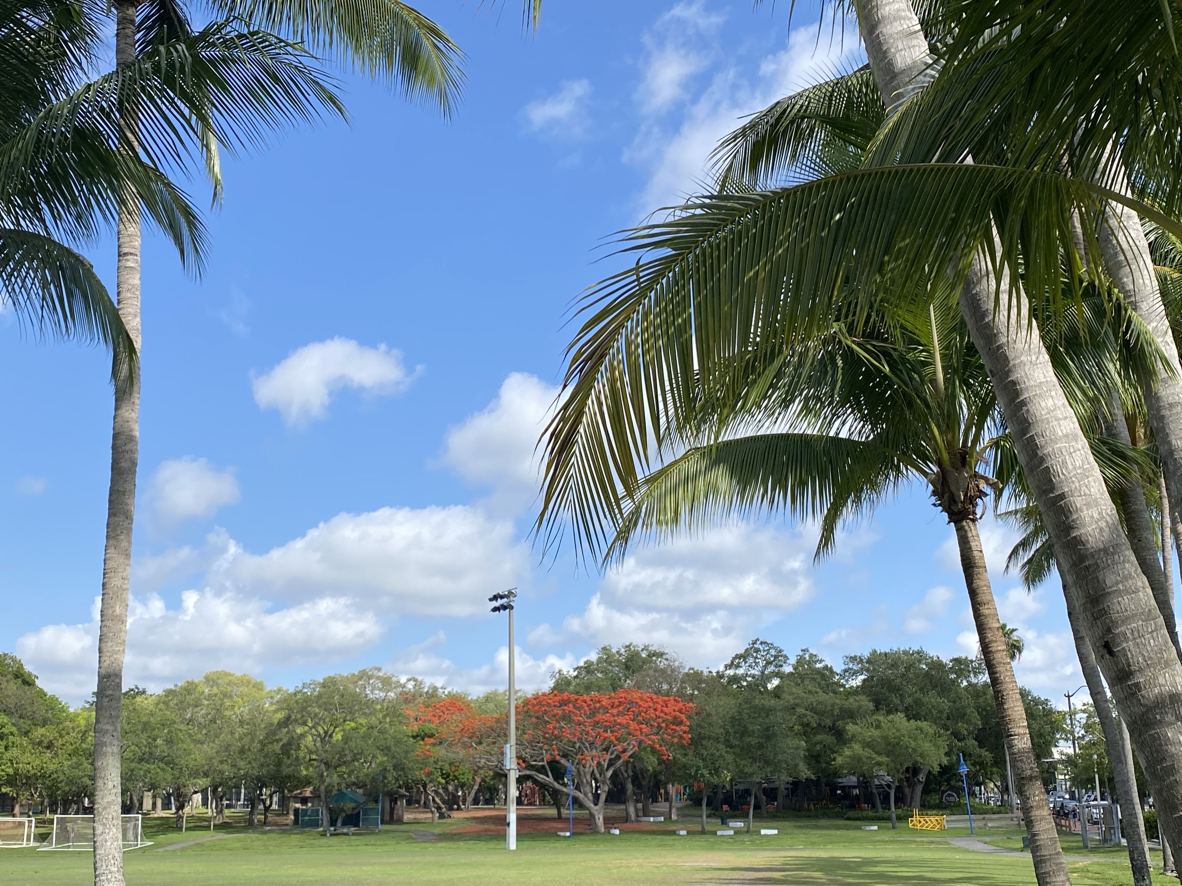 Peacock Park