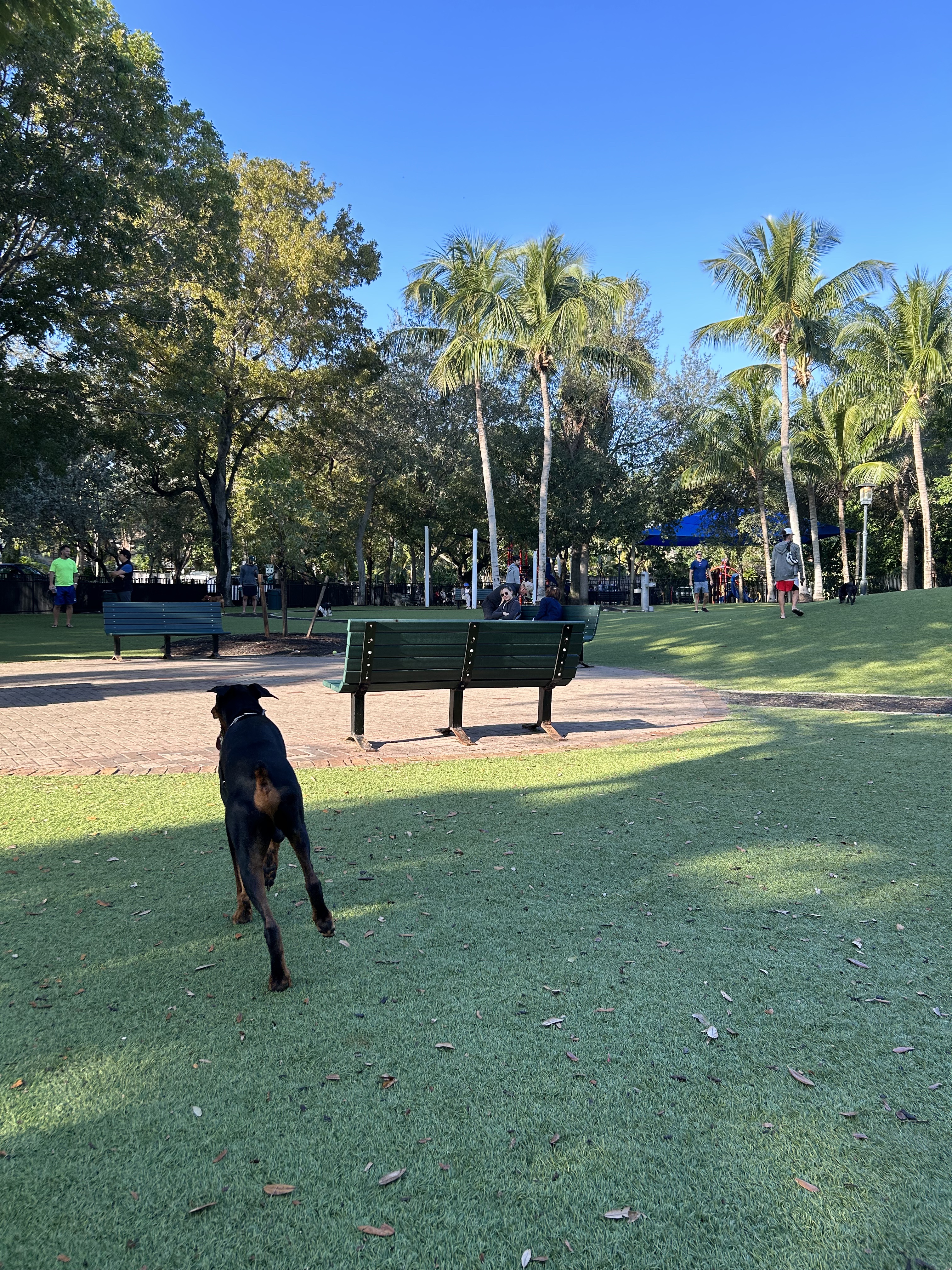 Blanche Park