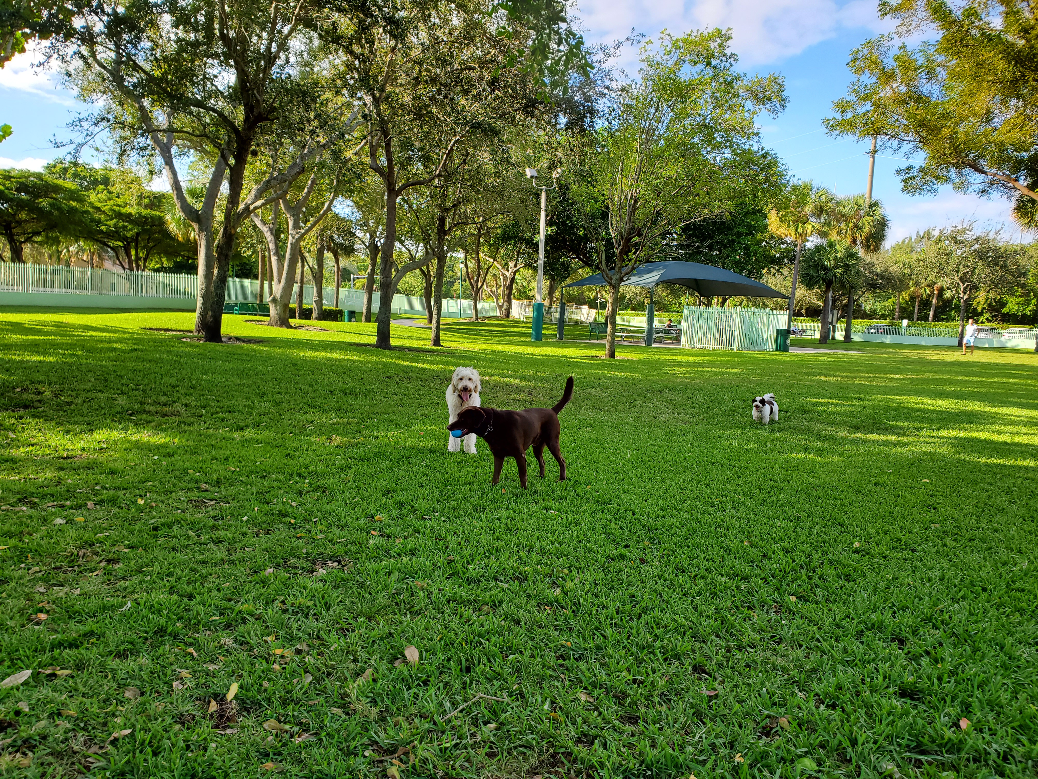 Waterways Dog Park & Playground